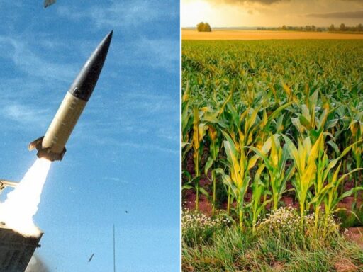 Ракета до села не долетіла, впала в кукурудзяне поле на Чернігівщині